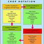 Simple Crop Rotation Chart