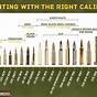 Different Rifle Caliber Chart