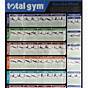 Total Gym Workout Charts