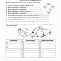 Energy Transfer And Transformation Worksheet