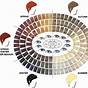 Hair Color Wheel Chart