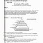 Ecological Pyramid Worksheet Answer Key