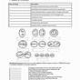 Mitosis And Meiosis Worksheet With Answer Key