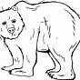 Printable Bear Coloring Pages