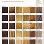 Hair Color Chart 1-10