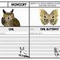 Moth Mimicry Worksheet Answers
