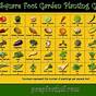 Square Foot Gardening Vegetable Spacing