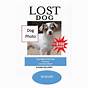 Free Printable Lost Pet Flyer