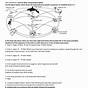 Food Webs And Food Chains Worksheets