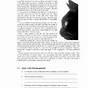 The Black Cat Worksheet Answer Key