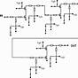 Emitter Coupled Cascode Amplifier Circuit Diagram