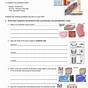 Epithelial Tissue Lab Worksheet