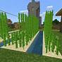How To Grow Sugar Cane Minecraft