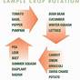 Vegetable Crop Rotation Chart