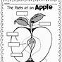 Free Printable Apple Worksheets