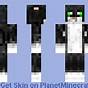 Minecraft Skin Black Cat