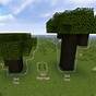 Dark Oak Tree Farm Minecraft