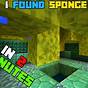 Sponge Room Minecraft