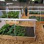 Container Vegetable Garden Layout
