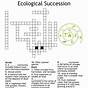 Ecological Succession Worksheet 8th Grade