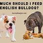 English Bulldog Raw Feeding Chart