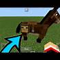 Mule Vs Donkey Minecraft