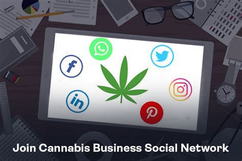Cannabis Industry Networking