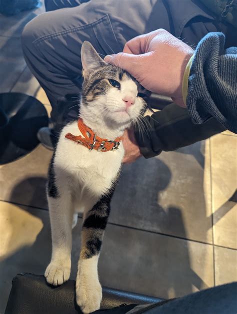 Patagonia Photography Journey: Torres del Paine to Fitzroy Adventure ...