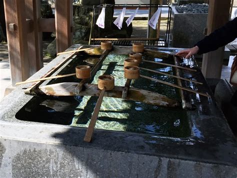 What is Shintoism? Understanding Kami, Rituals, and Beliefs | JoynTokyo