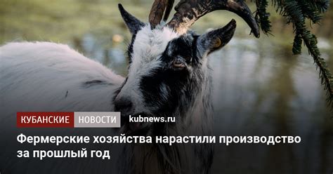 Фермерские хозяйства нарастили производство за прошлый год. 5 марта ...