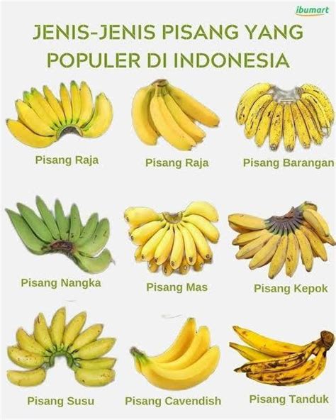 percakapan bahasa jepang pisang