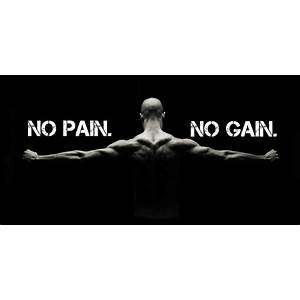 No Pain No Gain