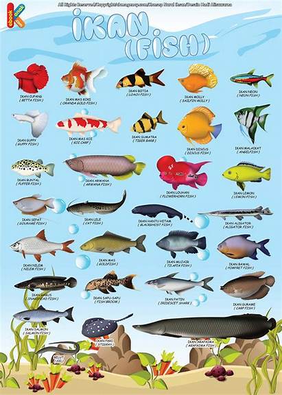Bahasa Ikan Indonesia