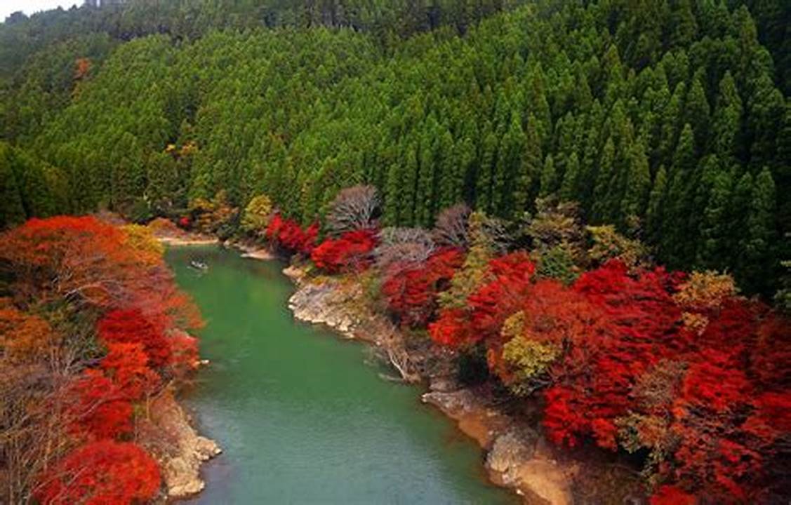 Wisata Populer di Jepang: Arashiyama Kyoto