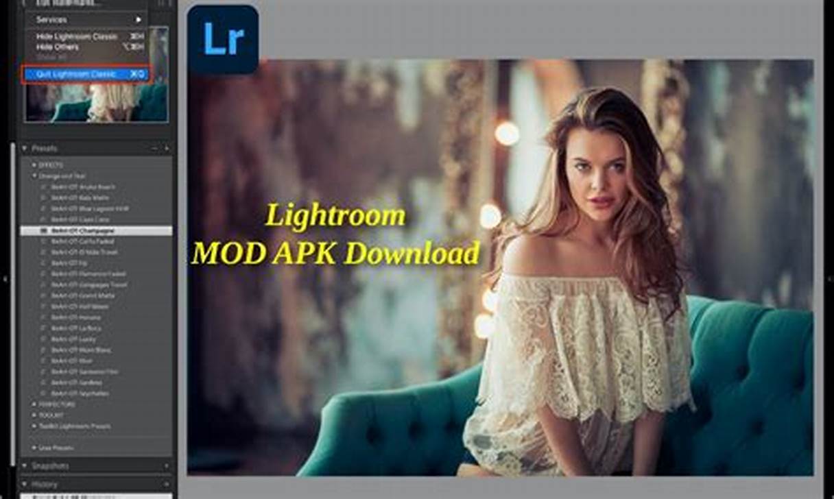 Lightroom Mod Apk Android