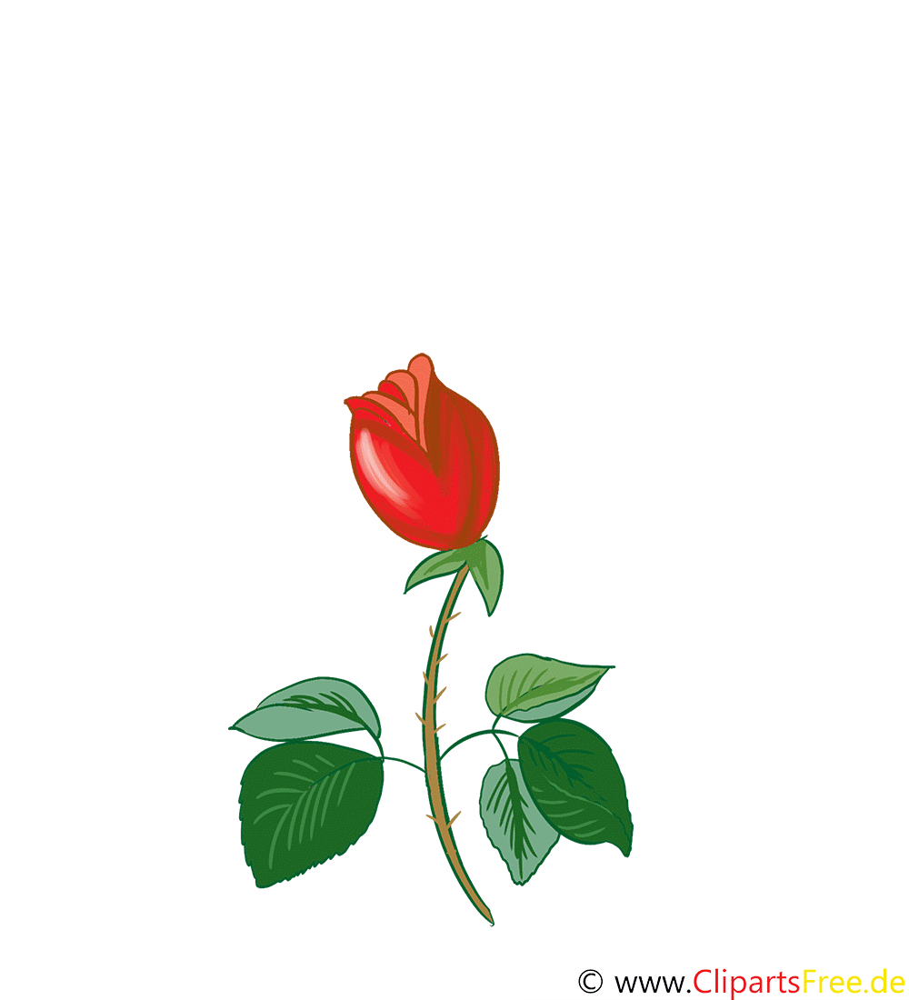 Image Of Roses Telechargement Gratuit Througexiditga