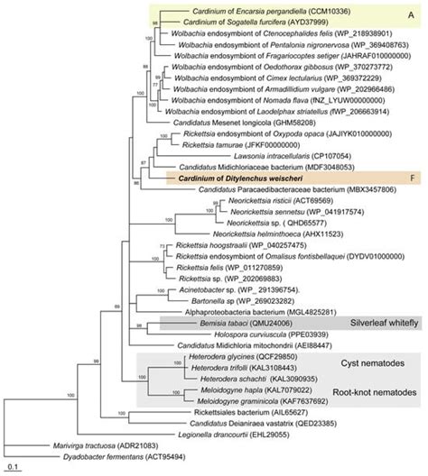 MDPI - Publisher of Open Access Journals