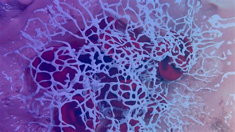 Fibrinogen: What it is and How it Functions in the Body | Innovative ...