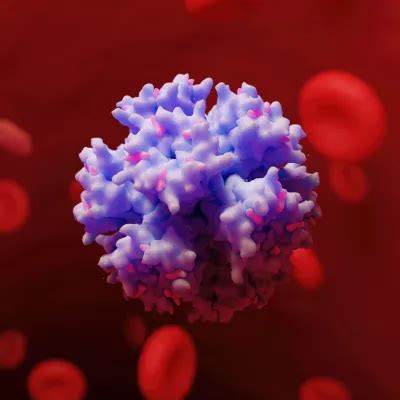 Detailed Adenovirus Circulation Visual | Illustration | SciePro