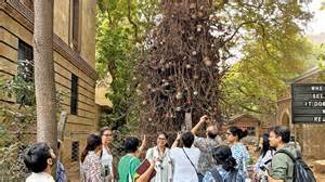 How green is my Mumbai? Explore this nature walk by Sananda ...