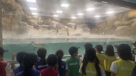 Learning Comes Alive | Nita Mukesh Ambani Junior School: Primary School ...