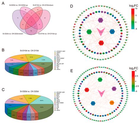 Integrated Physiological, Transcriptomic, and Metabolomic Analysis ...