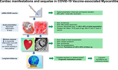 Cardiac manifestations and outcomes of COVID-19 vaccine-associated ...