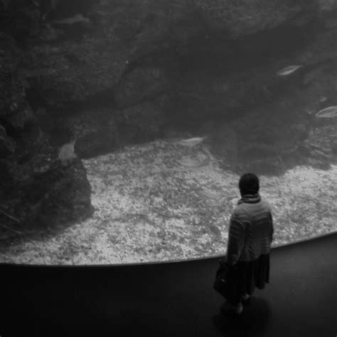 ANJAIL、「coelacanth」を配信開始｜THE MAGAZINE