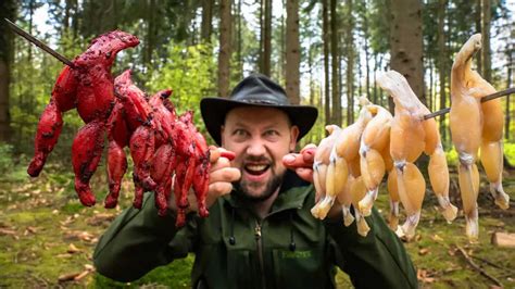Strange lunch experience: Grilling frogs in the forest