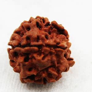Real Divinas 100% Original 1 Mukhi Rudraksha Silver Pendant For Men And ...