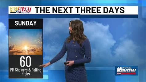 Midwest Meow Fest draws hundreds to South Bend