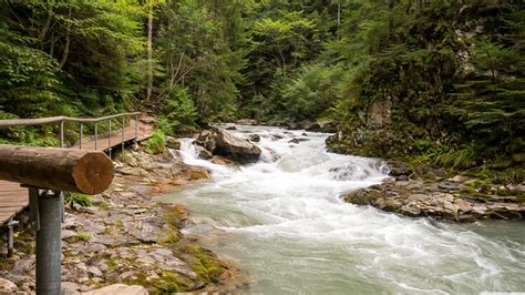 What makes Groppensteinschlucht so special?