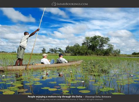 Okavango Delta Wildlife Photos – Images & pictures of Okavango Delta