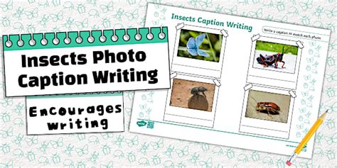 * NEW * Life Skills - Insects - Photo Caption Writing Template